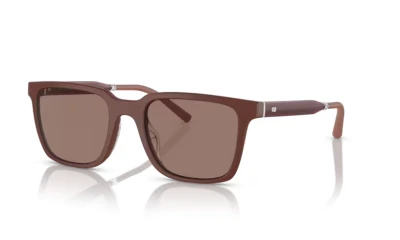  Oliver PEOPLES OV5553SU 700253 52 Mr. Federer