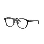   RAY-BAN RX 5443D 2000 49
